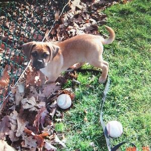 Meet your Posher, Caroline